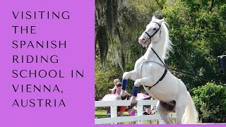 Visiting the Spanish Riding School in Vienna Austria ❤❤🐴🐴 [upl. by Air40]