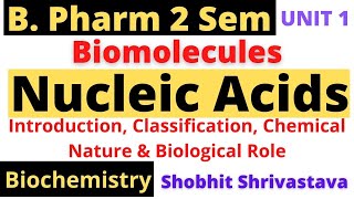 Nucleic AcidsIntroductionClassificationChemistryBiological RoleBiomoleBiochemB Pharm 2 Sem [upl. by Angeli]