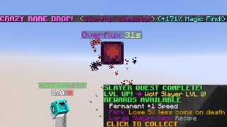 I Finally Got the Overflux Power Orb and wolf 8  Hypixel Skyblock Ep59 [upl. by Yim]