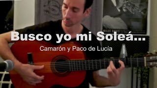 Falseta por Soleá por Bulerías Paco de Lucia y Camarón [upl. by Ferro]