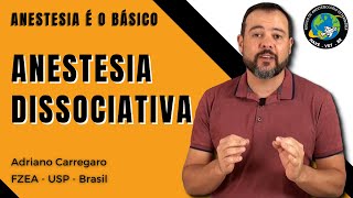 1⃣1⃣ ANESTESIA DISSOCIATIVA  Anestesia é o Básico 11 [upl. by Serrell]