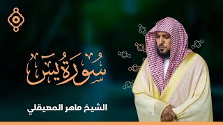 Surat Yasin Maher Al Muaiqly  سورة يس  الشيخ ماهر المعيقلي [upl. by Eenehs217]