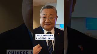 Chinese ambassador slams Israeli UN ban [upl. by Kandace784]