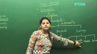 Biological Classification for NEET by Dr Shivani Bhargava SB Mam  Etoosindia [upl. by Nitsud]