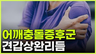 어깨 기능해부학어깨충돌증후군의 원인견갑상완리듬 [upl. by Clough545]