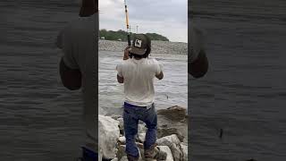 flatheadspillwayfishingfishingrossbarnett bigbaits [upl. by Ennairoc386]