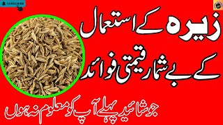 Cumin Seeds benefits in Urdu  Hindi  Zeera Ke Fayde  زیرہ سیاہ کے فوائد اور اس کے استعمال [upl. by Selemas967]