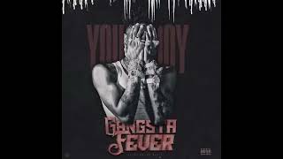 NBA Youngboy  Gangsta Fever AUDIO [upl. by Farley492]