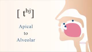 tʰʲ  unvoiced aspirated palatalized apical alveolar stop [upl. by Aowda]