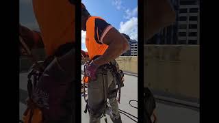 abseiling ropeaccesstechnician newzealandcapital [upl. by Mcnamee64]