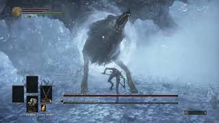 Dark Souls III  Champions Gravetender and Gravetender Greatwolf  No Hit [upl. by Hanus295]