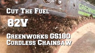 Greenworks GS180 82V Cordless Chainsaw Review [upl. by Wrigley646]