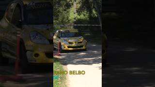 RALLY SANTO STEFANO BELBO  TROFEO DELLE MERENDE 2024  RENAULT CLIO R3C GIMA AUTOSPORT ildiretta [upl. by Zerimar]