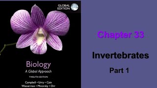 Bio102 chapter33  invertebrates  lophotrochozoa   Campbell [upl. by Nylorak]