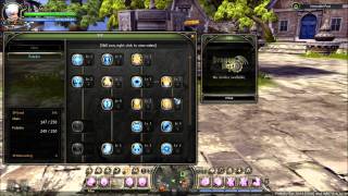 This is Serious Abyssness Paladin Guide  Skill Build [upl. by Rutra]