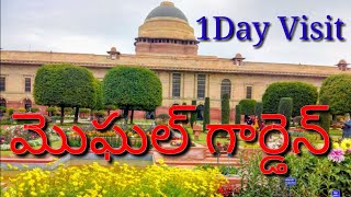 Mughal Garden Full Details In Telugu🔥🔥🔥🔥 [upl. by Treblig]