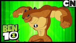 Enormossauro Transformação  Novo Alien  Subindo Até 11  Ben 10 Português Brasil  Cartoon Network [upl. by Aoh]