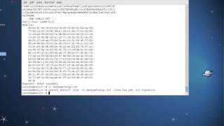 OpenSSL Tutorials 3 RSA key Creation and Digital Signature [upl. by Butte]