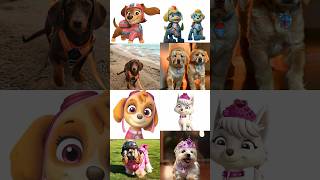 Paw patrol In Real Life pawpatrol shorts [upl. by Nayt]