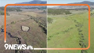 Summit County project aims to restore Colorados wetlands [upl. by Tymon61]