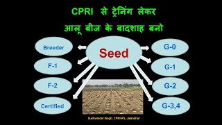 CPRI से ट्रेनिंग लेकर आलू बीज के बादशाह बनो [upl. by Beller]