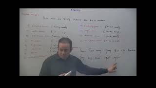 61 Cranial Nerves OlFactory Nerve Part 1 [upl. by Vinny609]