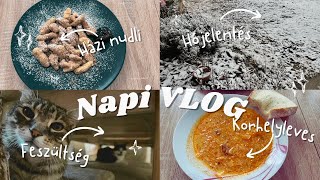 Napi VLOGEgy délelőtt velem🐈👩🏽‍🍳❄️🌨️ [upl. by Stargell]