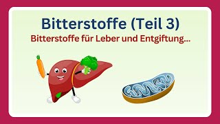 Bitterstoffe  Wirkung auf Leber Entgiftung und braunesFettgewebe Anwendung im Alltag 33 [upl. by Anora]