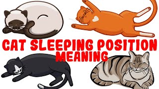 What Your Cats Sleeping Position Reveals About Their Health and Personality [upl. by Nosneh]