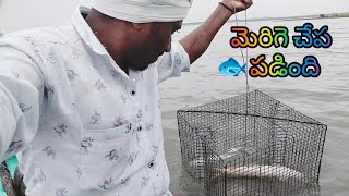 మెరిగె చేప బడింది yatala shankar volgs యాటల శంకర్ వీడియో🐟 ఫిషింగ్ [upl. by Gayelord]