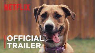 Inside the Mind of a Dog  Official Trailer  Netflix [upl. by Nitsid275]