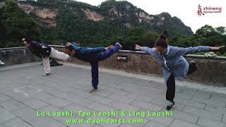 Zhineng Qigong Level 3 quotFive Hunyuanquot Der Kranich [upl. by Iny426]