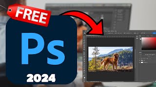 how to download adobe photoshop 2024 [upl. by Sorel]