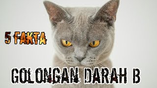 5 Fakta Golongan Darah B [upl. by Ibmat]