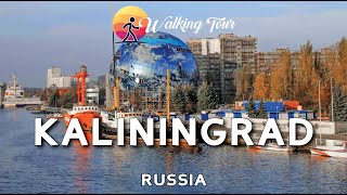 Offbeat Destination in Kaliningrad  Russia 🇷🇺  Travel Vlog  Walking Tour  Europe Travel [upl. by Inatsed]