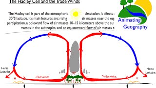 Hadley Cell Trade Winds and Desert Formation [upl. by Harold]