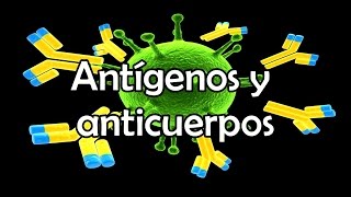 Antígenos y anticuerpos [upl. by Maziar526]