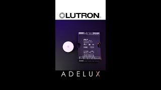 lutron faradite smarthome [upl. by Latini]