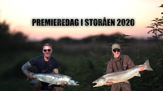 3 store forårslaks Laksefiskeri Storåen English subtitles [upl. by Cari870]