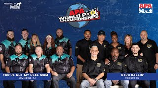 2024 APA 8Ball World Championship Final [upl. by Virgil582]