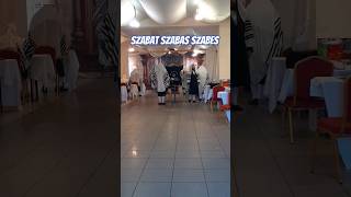 szabat chassidim lezajsk żydzi jews chasydzi shabbat polin Elimelech shorts shalom jewish [upl. by Yt]