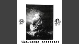 whalesong broadcast [upl. by Nodarb]