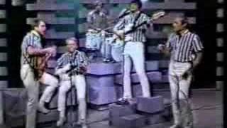 the beach boys barbara ann live [upl. by Annwahsal148]