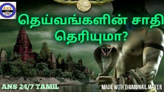 தெய்வங்களின் சாதி தெரியுமா  God of caste  Tamil nadu people  caste history  details [upl. by Enorej625]