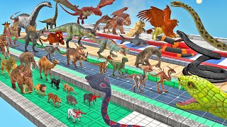 Reptiles Battle  Revolt of Giant Titanoboa Snake vs Wild Animals Dinosaur Mammals Death Run ARBS [upl. by Gord]