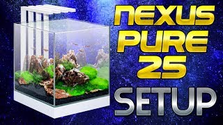 CIANO NEXUS PURE 25 TANK SETUP [upl. by Gnoc]