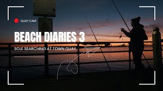 Beach Diaries  Session 3  Sole Searching at Town Quay Southampton [upl. by Euqinamod]