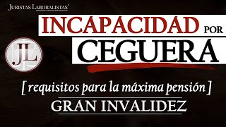 ✅ Pensión de Incapacidad por ENFERMEDAD VISUAL  Discapacidad visual 2023 [upl. by Kinnie]