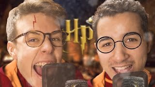 TU MANGES DU PORC HARRY   DOUBLAGE 1 ft Seb la Frite [upl. by Llevra]