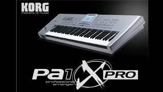 Ritem KORG PA X1 Popullore [upl. by Allys774]